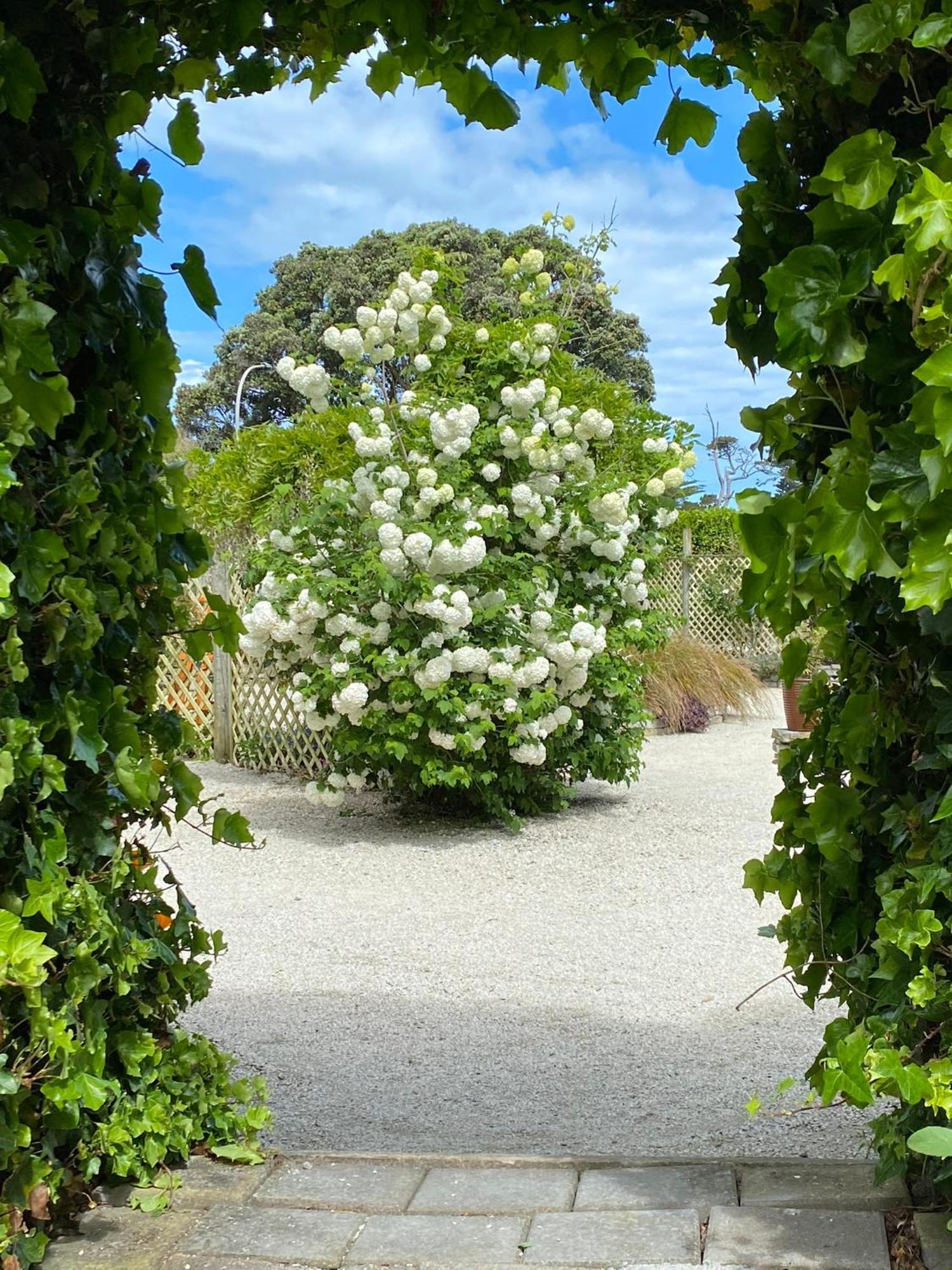 Glascroft Gardens - Bed & Breakfast Patea Eksteriør bilde